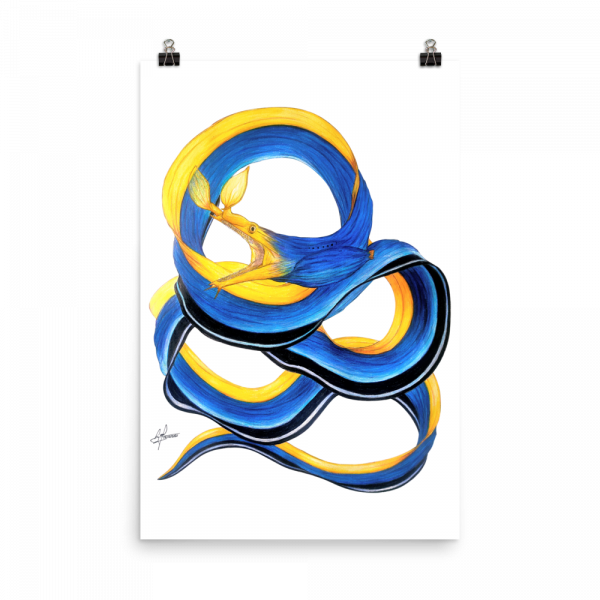 ReefMerch matte paper poster 24x36 blue ribbon eel