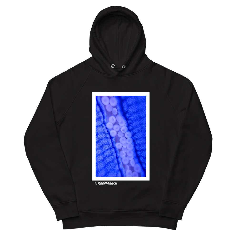Reef Merch Blue Starfish Hoodie 1