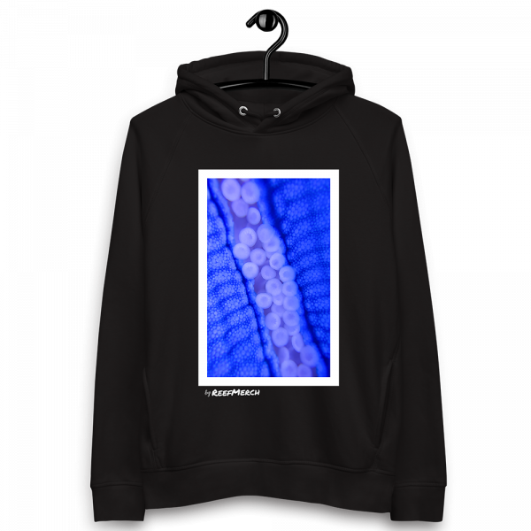 Reef Merch Blue Starfish Hoodie 2