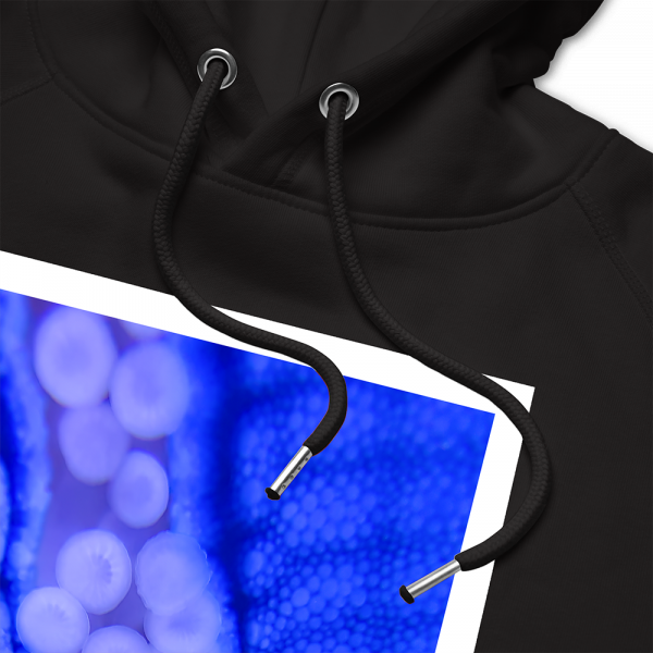 Reef Merch Blue Starfish Hoodie 3