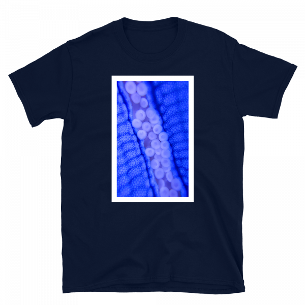 Reef Merch Blue Starfish t-shirt navy front