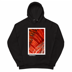 Reef Merch Lion Fish Hoodie 1