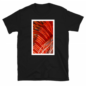 Reef Merch Lionfish t-shirt black front