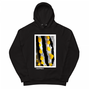 Reef Merch Nudibranch Hoodie 1
