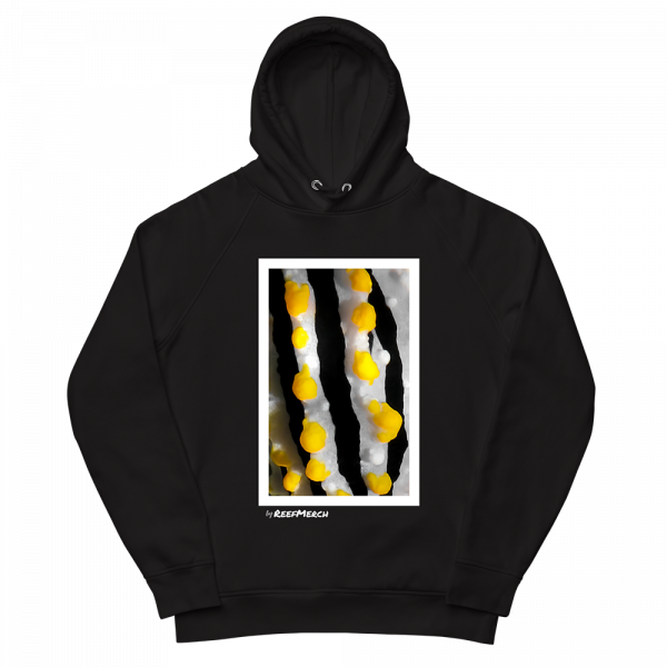 Reef Merch Nudibranch Hoodie 1