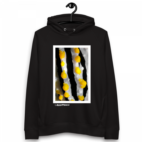 Reef Merch Nudibranch Hoodie 2