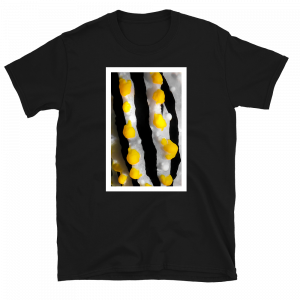 Reef Merch Nudibranch t-shirt black front