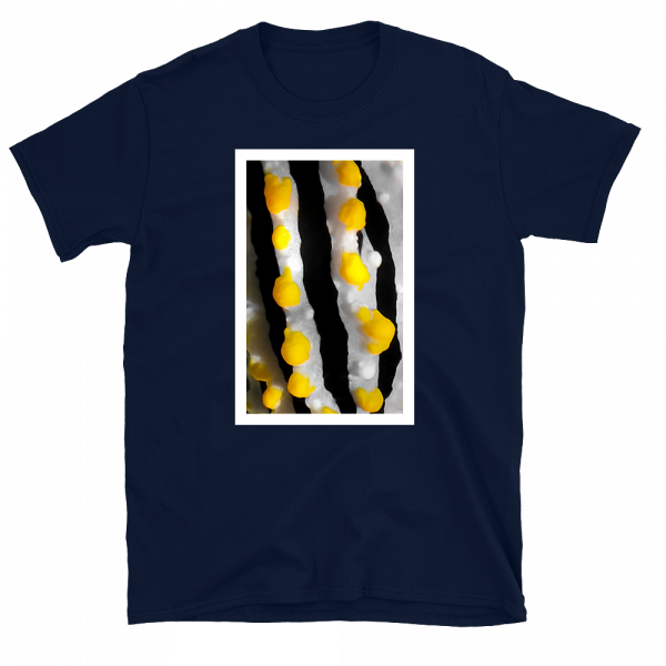 Reef Merch Nudibranch t-shirt navy front