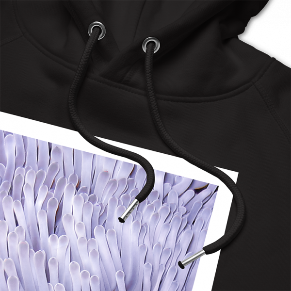 Reef Merch Clownfish in Anemone Hoodie 3